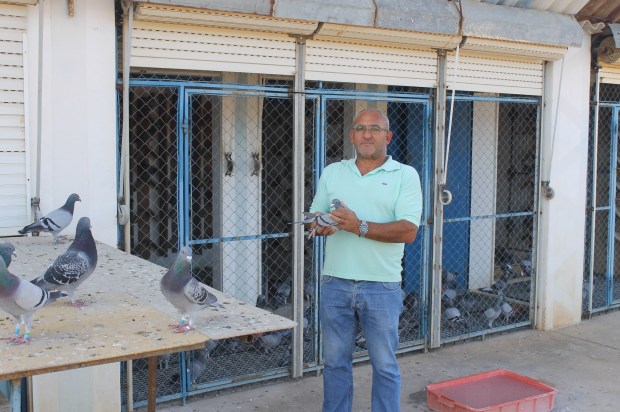 jose-lampreia-serpa-beja