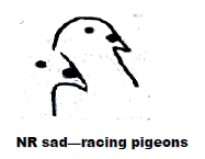 17028929_1431138060250419_365865015_n