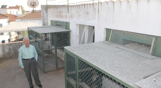 pombal voadores vitor marlelo