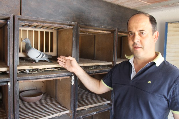 Fernando fernandes no interior do pombal com a sua campeã de Zona - valências