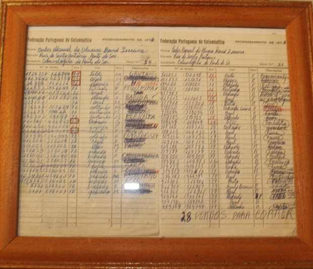 1º recenceamento1976