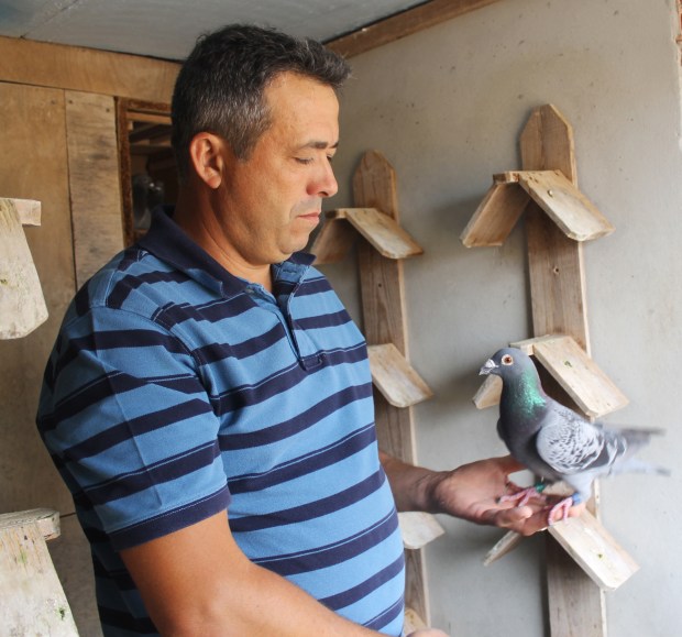 pombo na mao pedro nobre