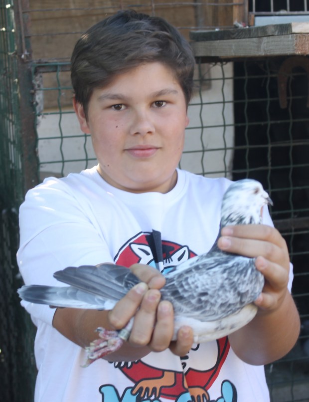 rodrigo e a sua campea