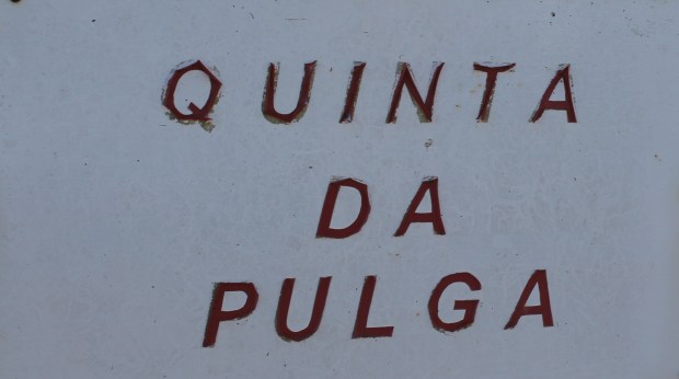 quinta da pulga