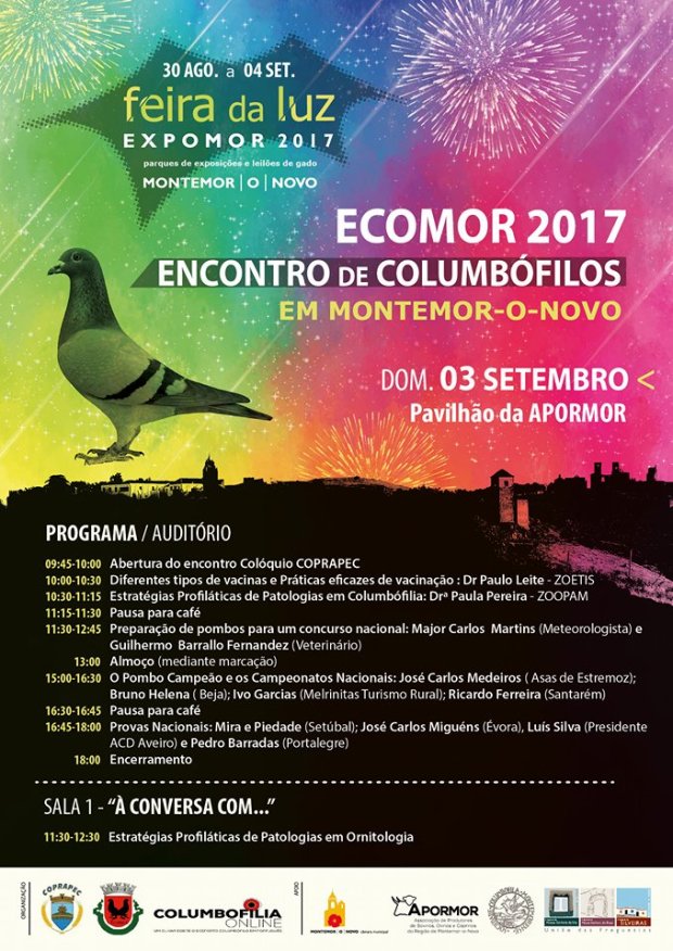 21074378_1632828323414724_437519995_n