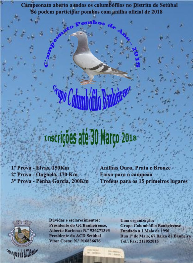 cartaz campeonato borrachos ano