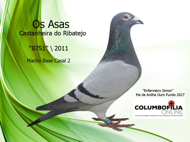 enfermeiro simon asas