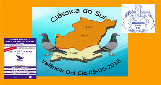 banner classica do sul