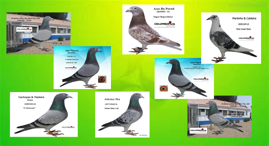 destaque balanço meio epoca evora 2018