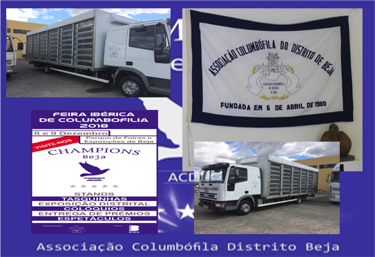 destaque Beja 3 e 4 concurso