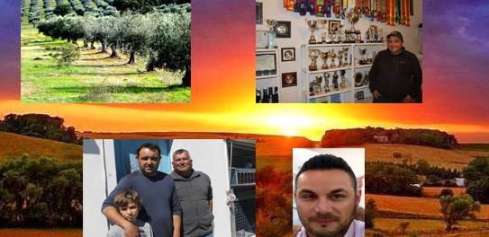 detaque 1 fundo beja 2018