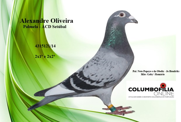 guia branca alexandre