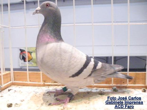 390918_282903671760451_1407142466_n