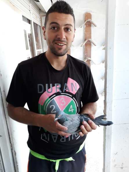 7a035c2b-ff1d-4418-a490-322e0ff8a222