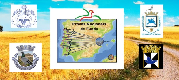 destaque valencia 2018