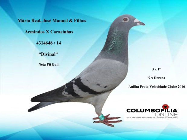 divinal mario real jose manuel