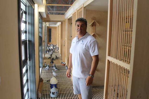 20953133_1931959053684041_8349400311640617573_n