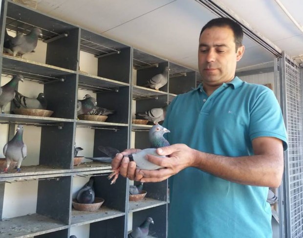 36576922_234453173947617_2053485290839867392_n