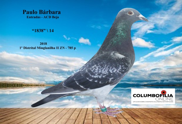 1838 1º minglanilha II