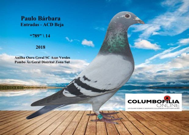 anilha Ouro distrital zs 2018