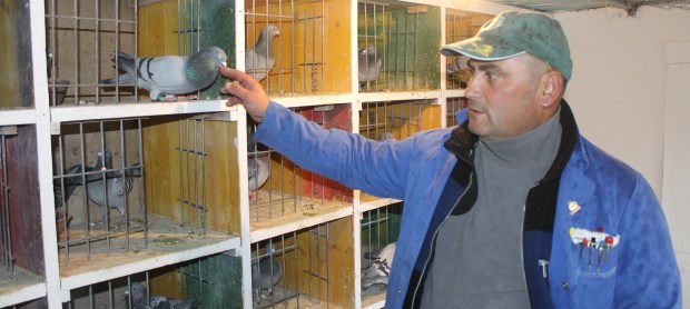 destaque 2 paulo barbara