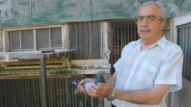 destaque fancisco palmela