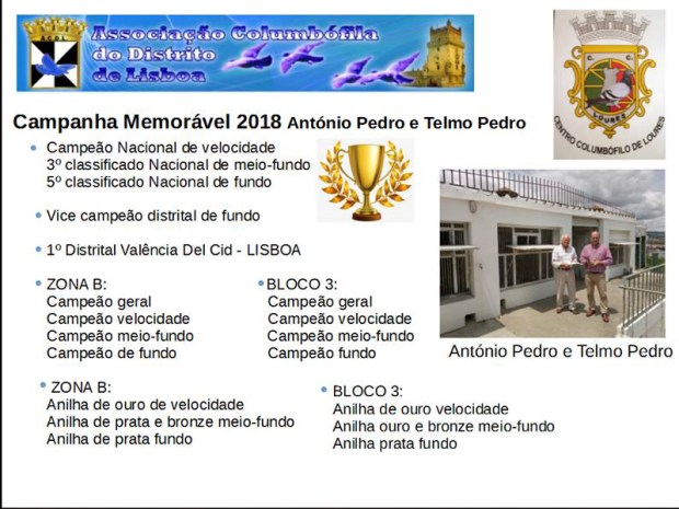 palmares telmo pedro