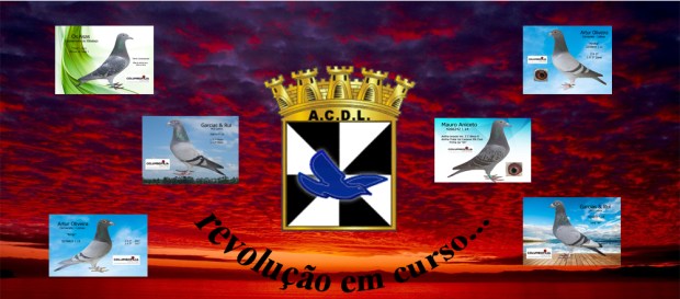 destaque revolução acdl 2018