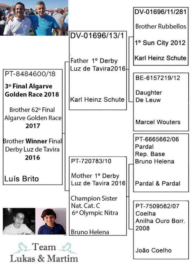 43110252_1997582550262574_5934266182994493440_n