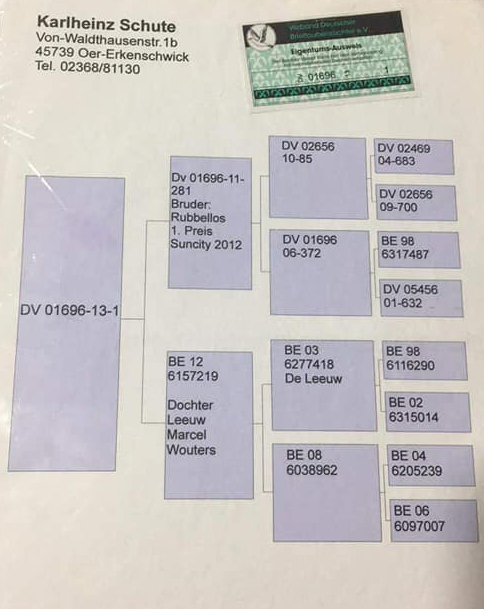 43128054_1997582586929237_1109712316837920768_n