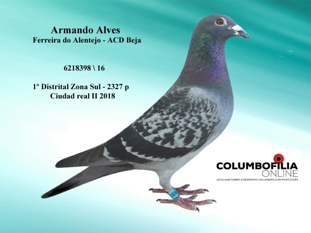 6218398 armando alves