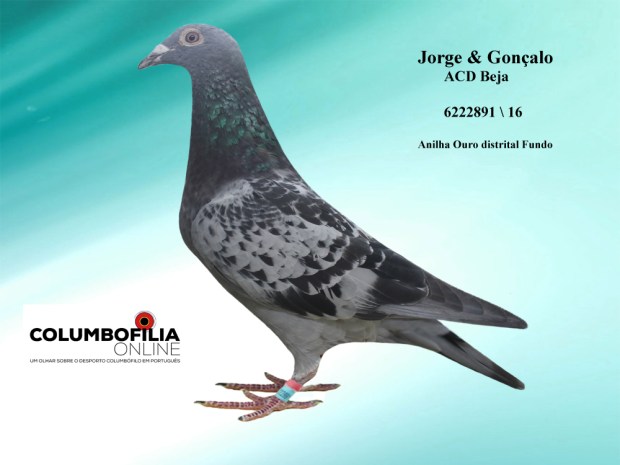 6222891 substitui 733