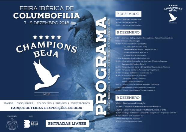 46298593_1723661881078761_6994738091353178112_o