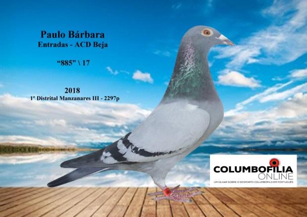 885 1º manzanares III