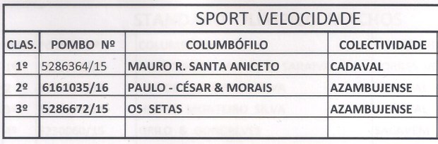 sport velocidade.jpg