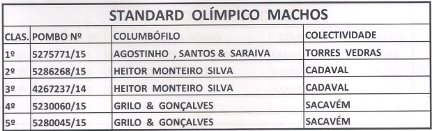 standart macho lx.jpg