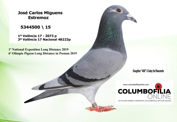 500  iguens pronta.jpg