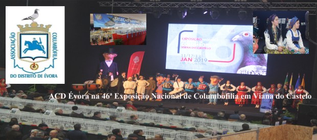 destaque evora em viana do castelo.jpg