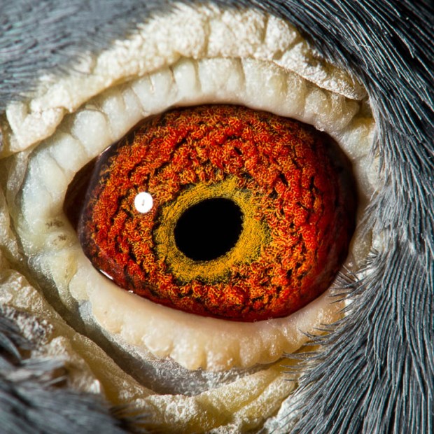 r002 - 710 (0710-00-84)