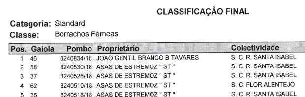 STANDARD-Borrachos Fêmeas-1.jpg