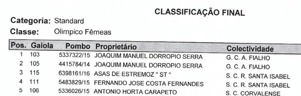 STANDARD-Olimpico Fêmeas-1.jpg