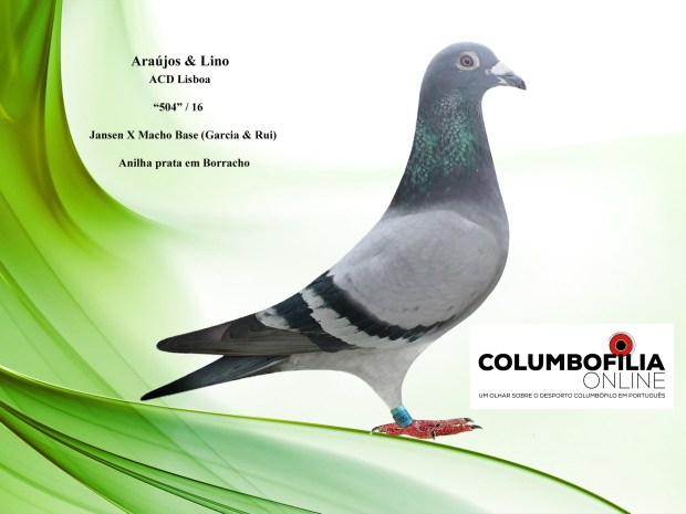 504 araujos e lino.jpg