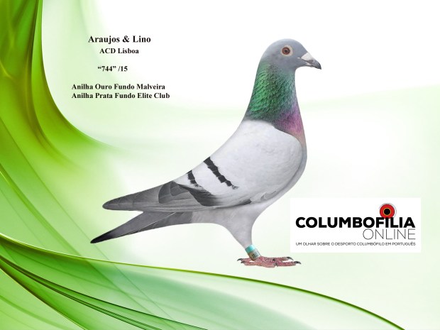 744araujos e lino.jpg