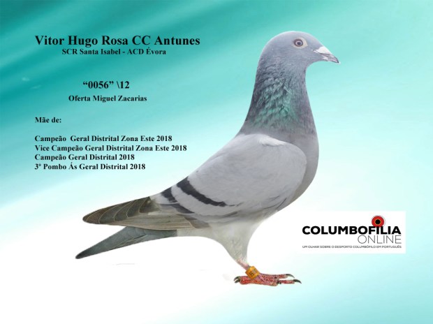 0056 vitor antunes.jpg