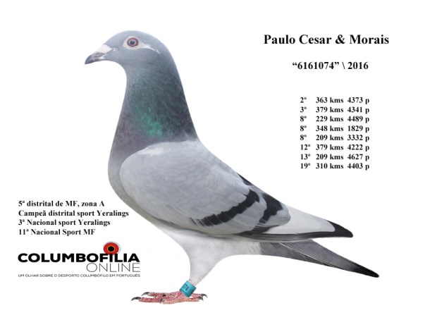 074 paulo e cesar.jpg