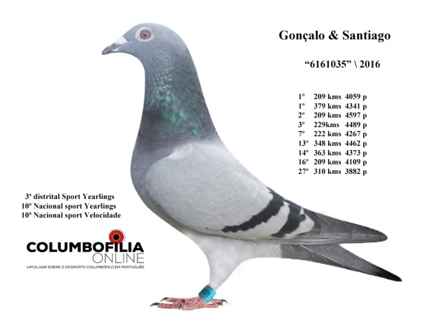 1035 paulo e cesar.jpg