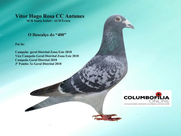 filho descalço 400 vitor Rosa.jpg