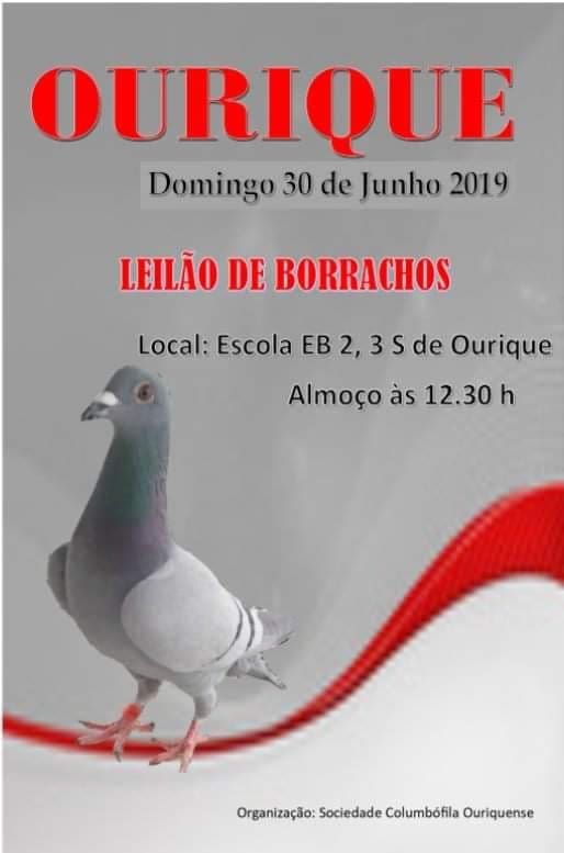 61403097_603775660144834_6152968559111700480_n