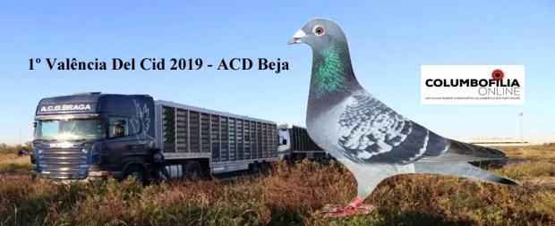 destaque ameixa maio 2019