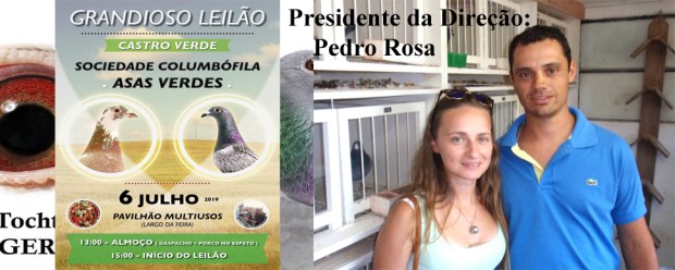 destaque leilao asas verdes 2019